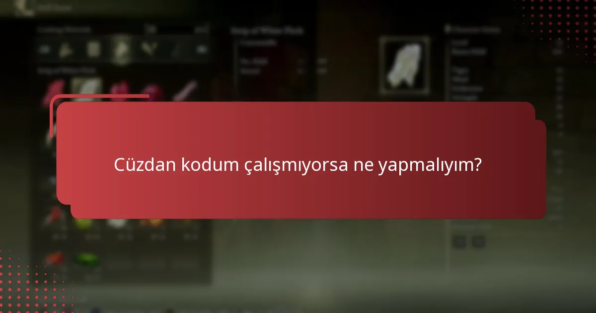 Cüzdan kodum çalışmıyorsa ne yapmalıyım?