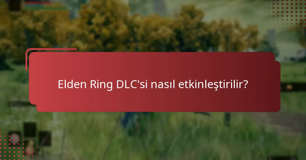 Elden Ring DLC’si için fiyat seçenekleri nelerdir?