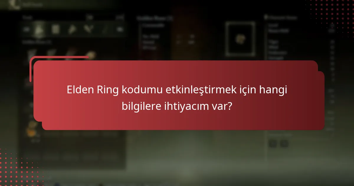 Elden Ring kodu etkinleştirme sırasında yaygın sorunlar nelerdir?